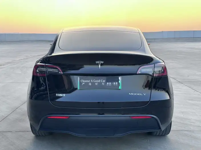 Model Y 2022 Model Rear-wheel drive version – фото 5