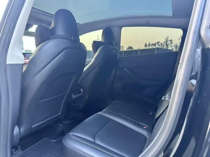 Model Y 2022 Model Rear-wheel drive version – фото 8