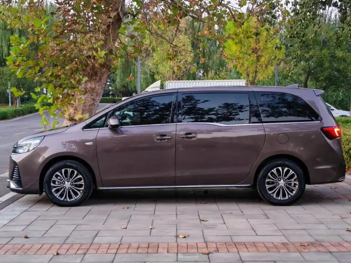 Buick GL8 2023 Model Business class 2.0T Comfort Model