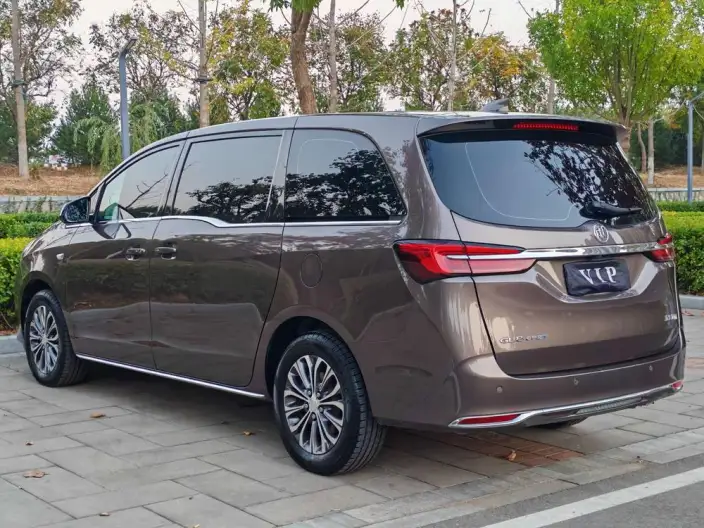 Buick GL8 2023 Model Business class 2.0T Comfort Model – фото 5