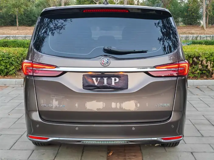 Buick GL8 2023 Model Business class 2.0T Comfort Model – фото 6