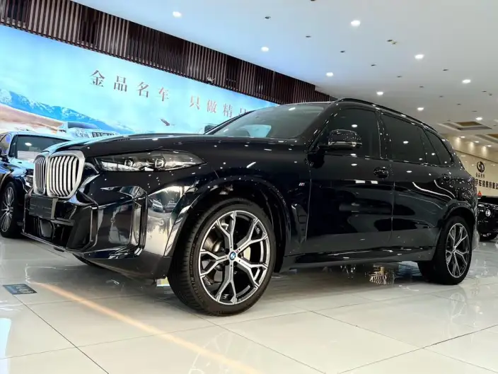 BMW X5 2023 Model xDrive30Li Exclusive Model M Sports Night Set – фото 1