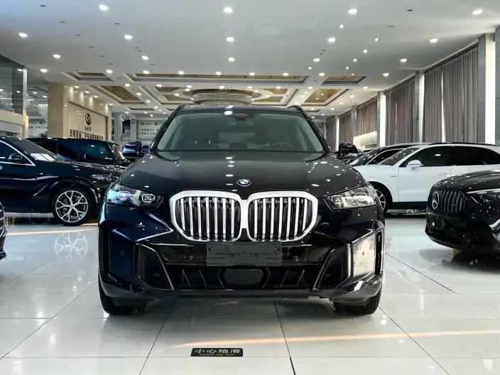 BMW X5 2023 Model xDrive30Li Exclusive Model M Sports Night Set – фото 2