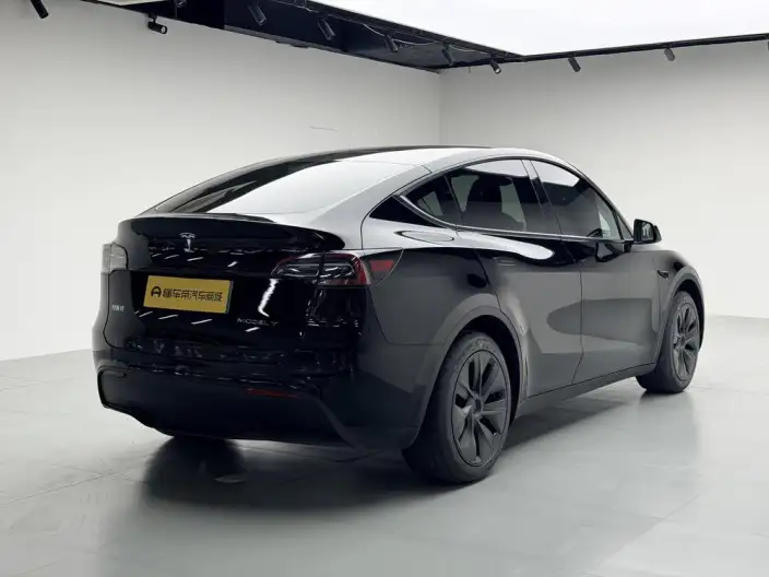 Model Y 2024 Model Rear-wheel drive version – фото 7