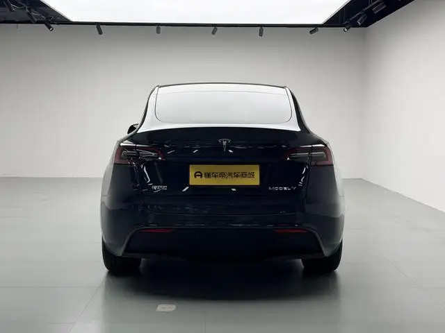 Model Y 2024 Model Rear-wheel drive version – фото 6