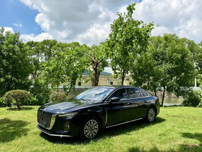 Hongqi H5 2023 Model 2.0T Automatic Flag Enjoy Edition
