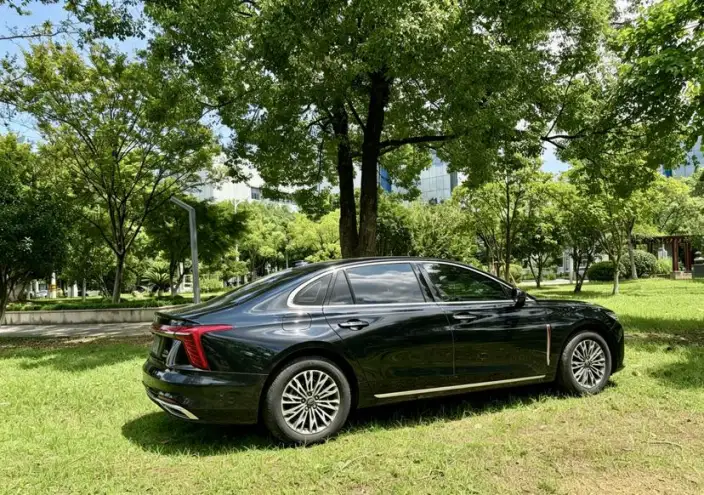 Hongqi H5 2023 Model 2.0T Automatic Flag Enjoy Edition – фото 6