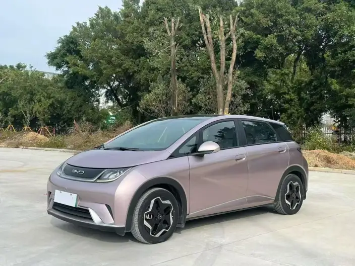 BYD Dolphin 2021 Model Fashion Edition
