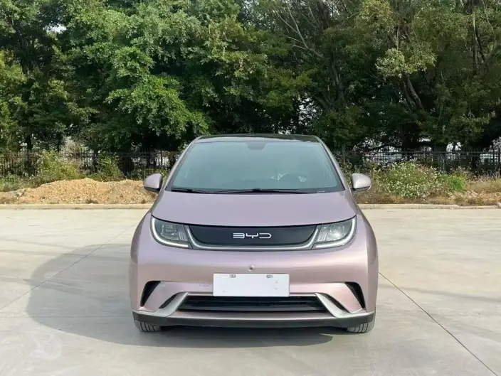 BYD Dolphin 2021 Model Fashion Edition
