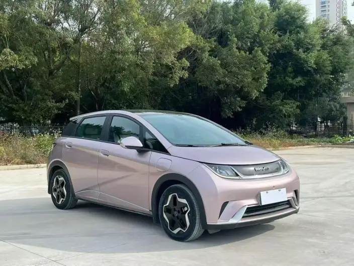 BYD Dolphin 2021 Model Fashion Edition