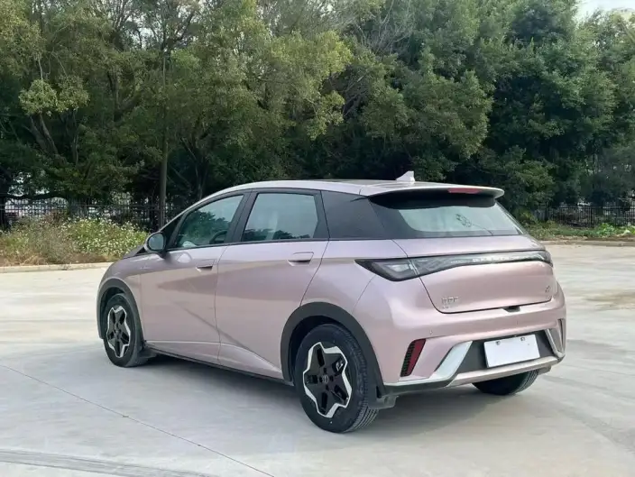 BYD Dolphin 2021 Model Fashion Edition