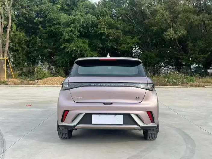 BYD Dolphin 2021 Model Fashion Edition – фото 5