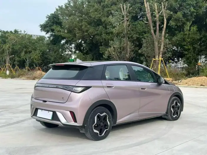 BYD Dolphin 2021 Model Fashion Edition – фото 6