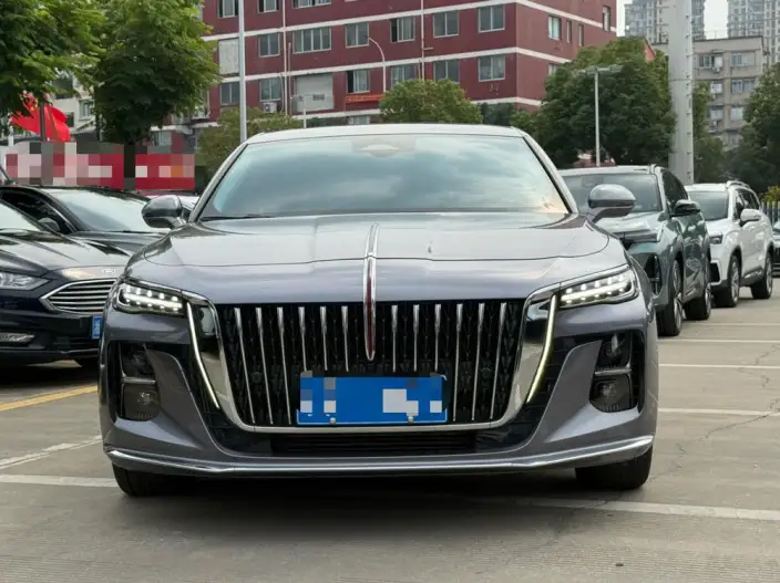Hongqi H5 2024 Model 2.0T Automatic Flag Enjoy Edition