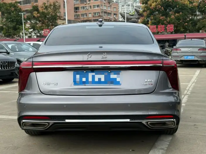 Hongqi H5 2024 Model 2.0T Automatic Flag Enjoy Edition – фото 5