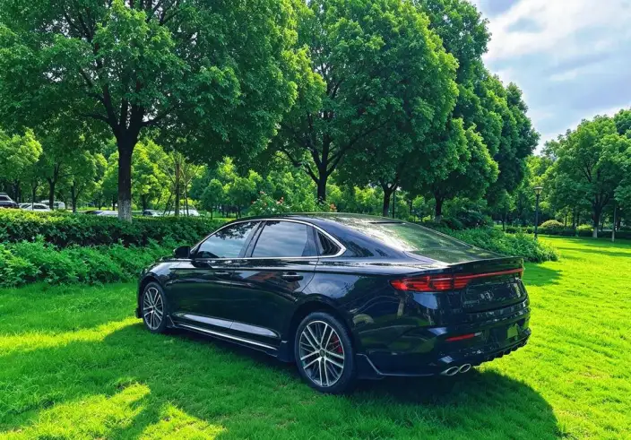 Geely StarRui 2023 Model 1.5T Kunlun Edition – фото 5