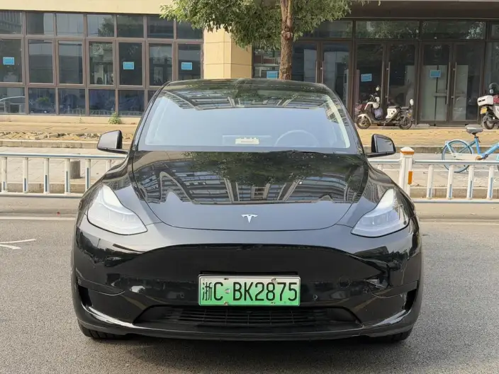 Model Y 2022 Model Facelift Rear-wheel drive version