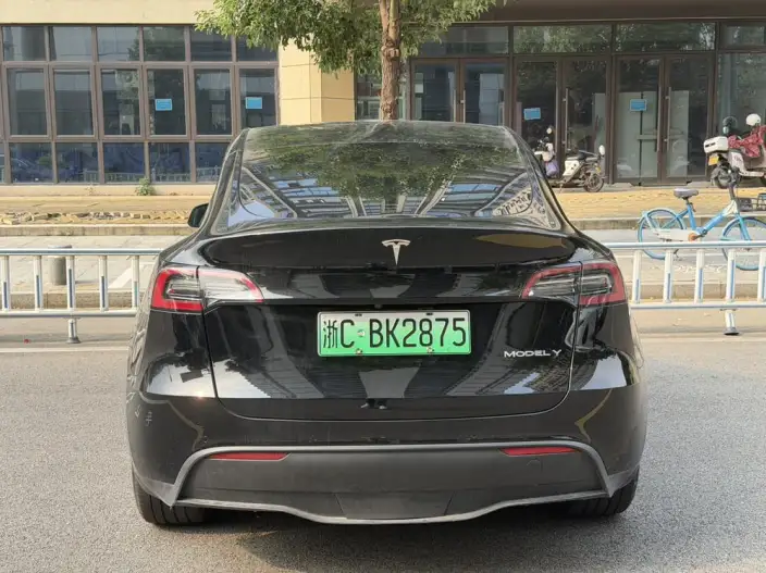 Model Y 2022 Model Facelift Rear-wheel drive version – фото 5