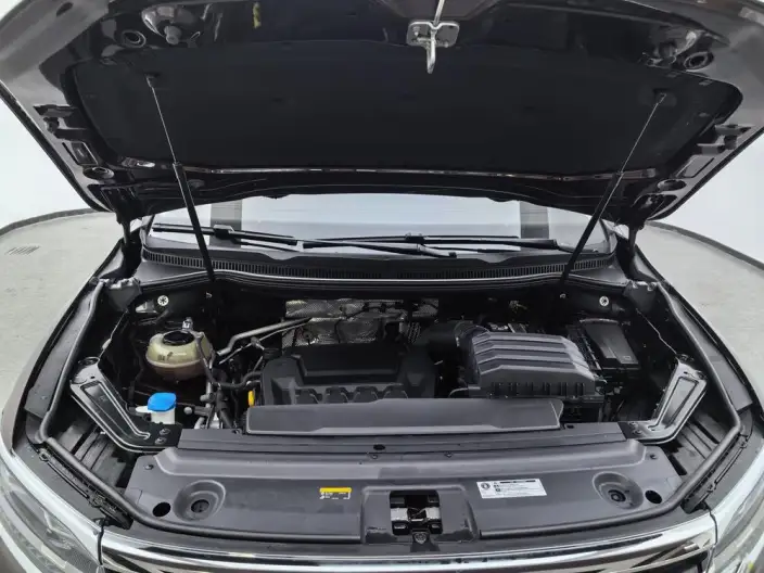 Viloran 2022 Model 380TSI Zun Drive Edition – фото 10