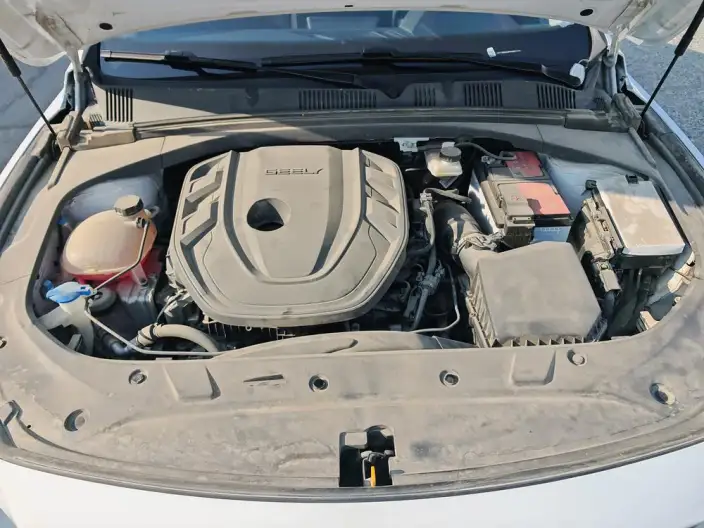Geely StarRui 2023 Model 2.0T Luxury Model – фото 8