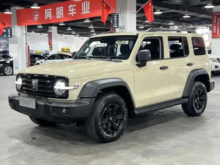 Tank 300 2025 Model 2.4T Diesel Edition