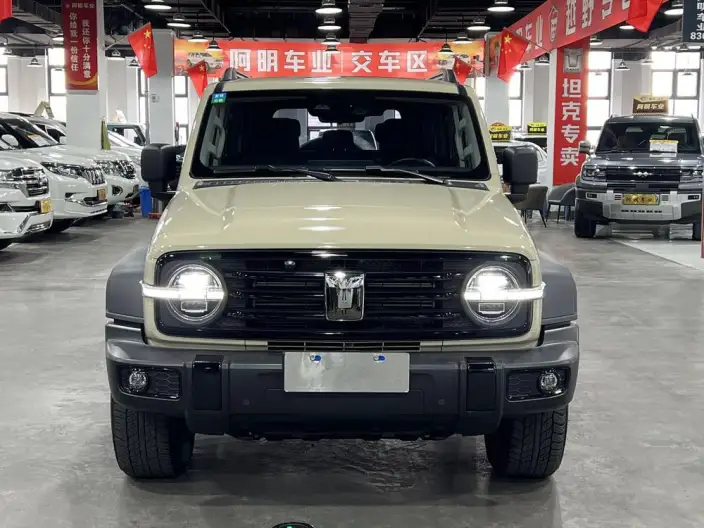 Tank 300 2025 Model 2.4T Diesel Edition