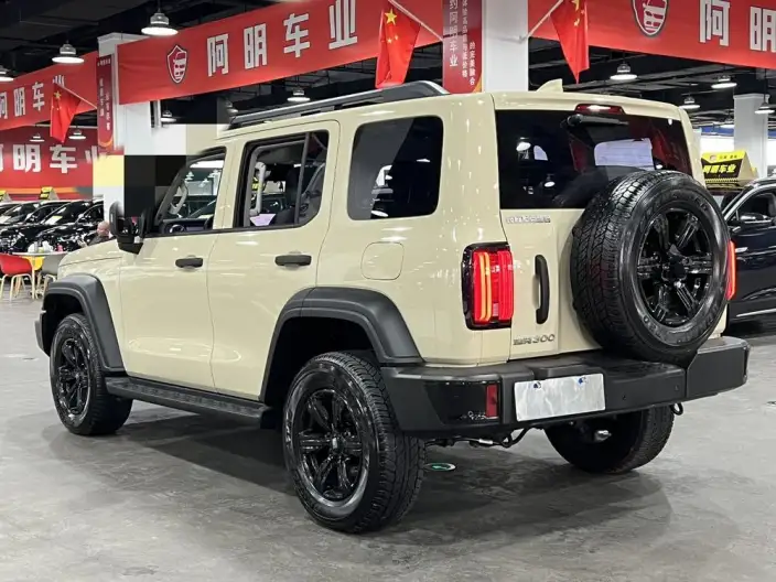 Tank 300 2025 Model 2.4T Diesel Edition