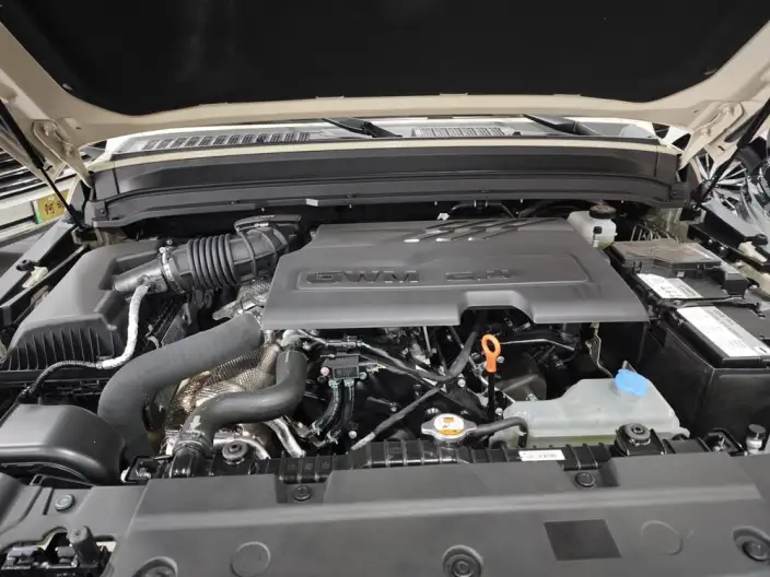 Tank 300 2025 Model 2.4T Diesel Edition – фото 8