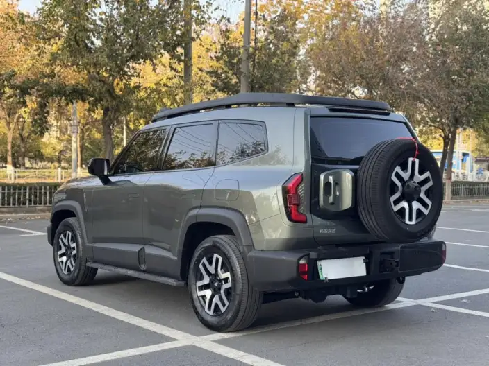 Shenlan G318 2024 Model 4WD Comfort Edition