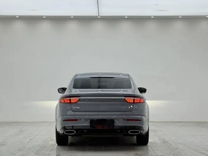 Geely StarRui 2023 Model 2.0T Noble Model – фото 6