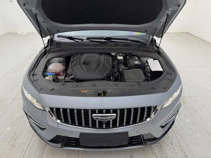 Geely StarRui 2023 Model 2.0T Noble Model – фото 8