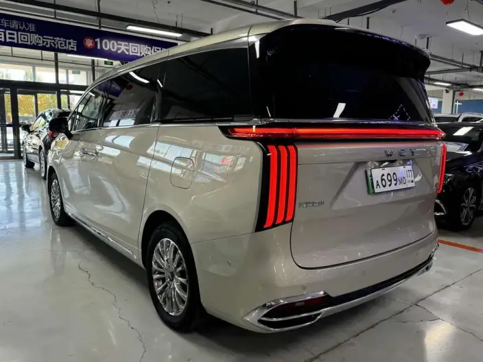 Wey Gaoshan P HEV 2023 Model 4WD Ultimate Edition – фото 5