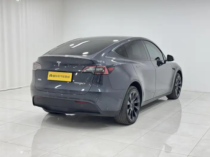Model Y 2024 Model Long Battery Life Pro All-wheel drive version – фото 7