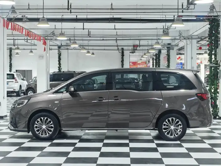 Buick GL8 2023 Model Business class 2.0T Comfort Model