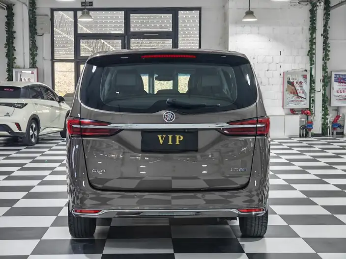 Buick GL8 2023 Model Business class 2.0T Comfort Model – фото 6