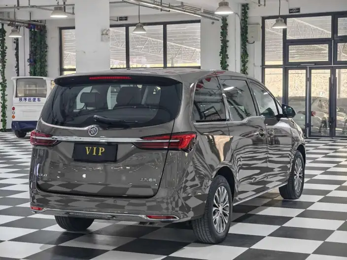 Buick GL8 2023 Model Business class 2.0T Comfort Model – фото 7
