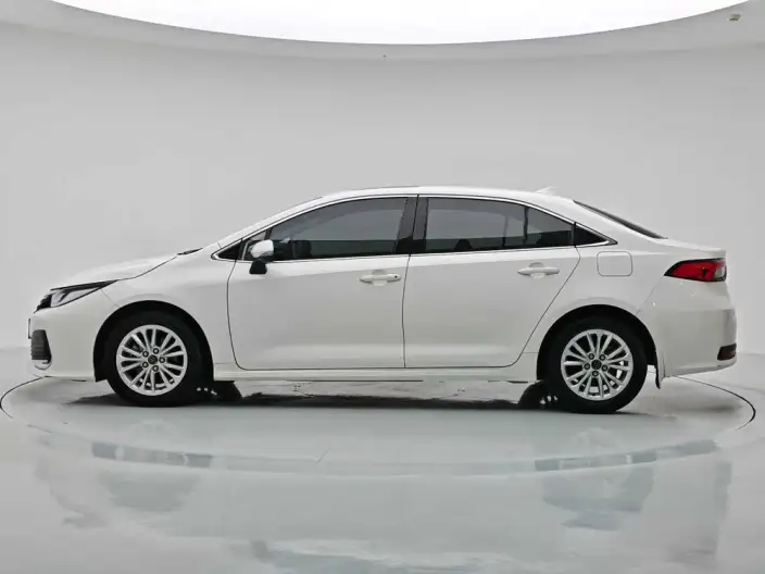 Asia Lion 2021 Model 2.0L Deluxe Edition – фото 4