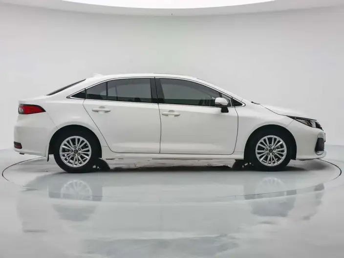 Asia Lion 2021 Model 2.0L Deluxe Edition – фото 8