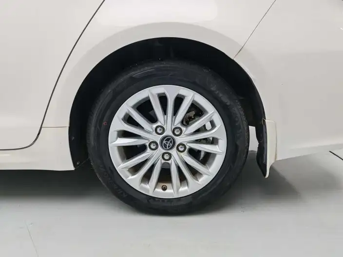 Asia Lion 2021 Model 2.0L Deluxe Edition – фото 9