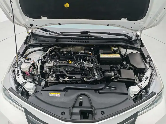 Asia Lion 2021 Model 2.0L Deluxe Edition – фото 10
