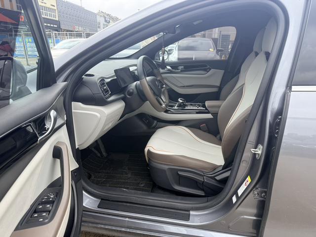 BYD Qin Plus EV 2023 Champion Edition 510km Leading – фото 9
