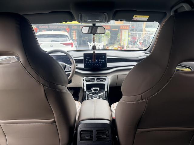 BYD Qin Plus EV 2023 Champion Edition 510km Leading – фото 11