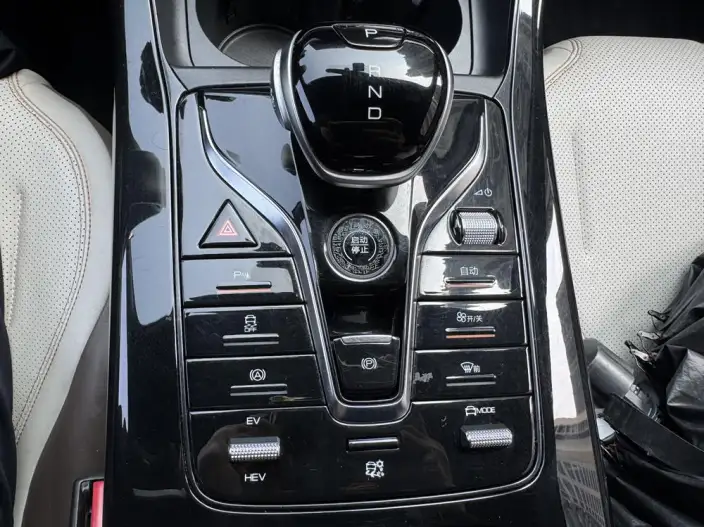 BYD Qin PLUS DM 2024 Model Honor Edition DM-i 55KM Leading Model – фото 10