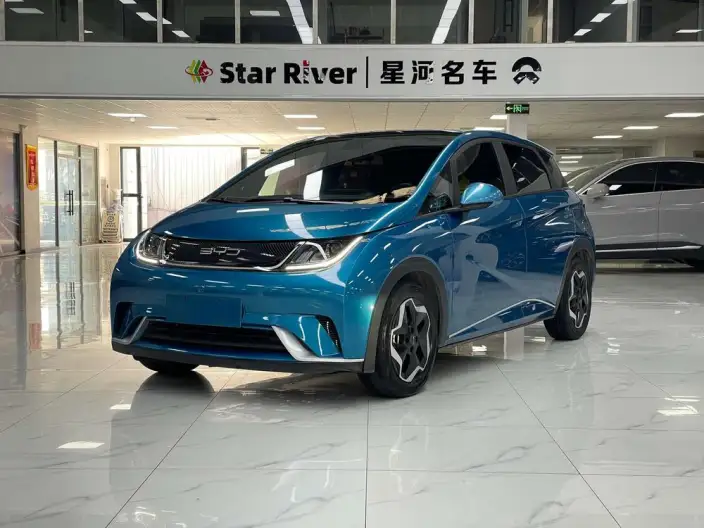 BYD Dolphin 2021 Model Fashion Edition – фото 1