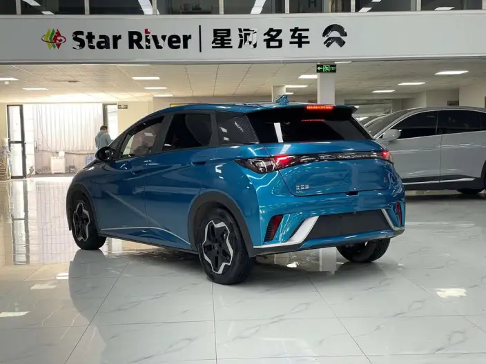 BYD Dolphin 2021 Model Fashion Edition – фото 4
