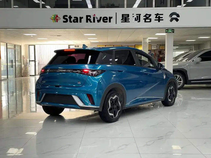 BYD Dolphin 2021 Model Fashion Edition – фото 6