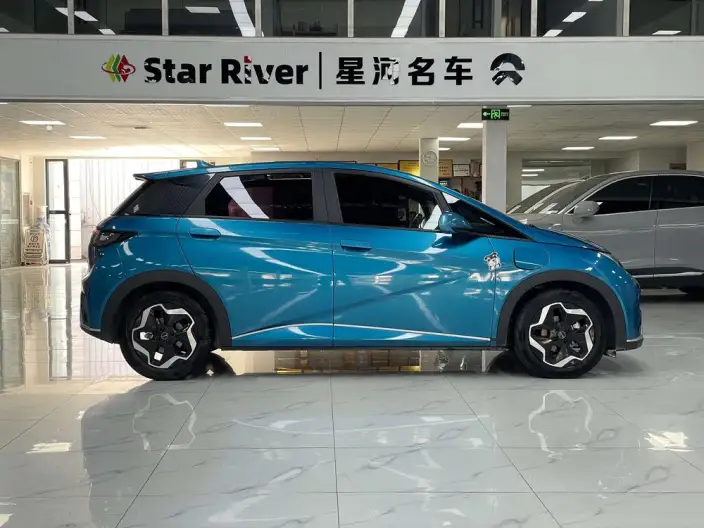 BYD Dolphin 2021 Model Fashion Edition – фото 7
