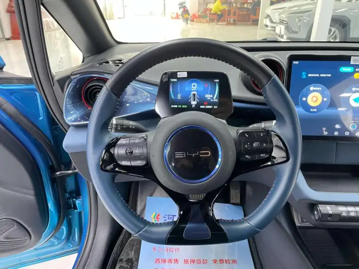 BYD Dolphin 2021 Model Fashion Edition – фото 10