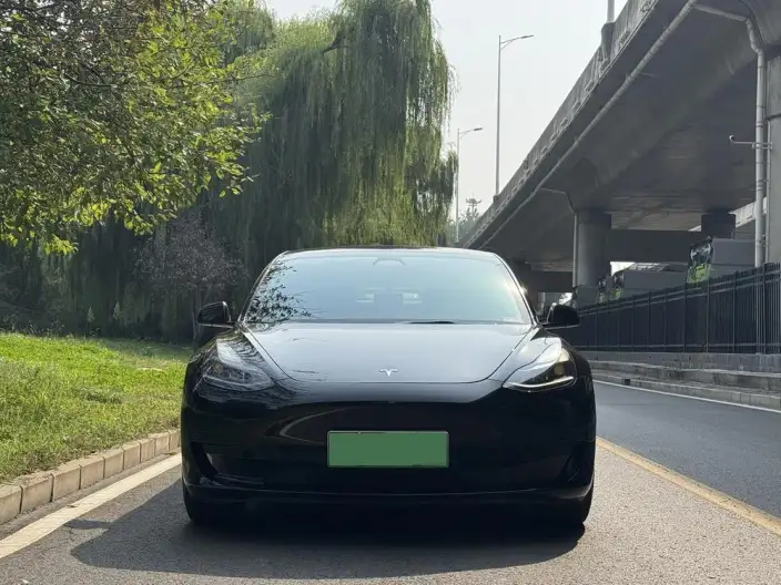 Model 3 2022 Model Rear-wheel drive version