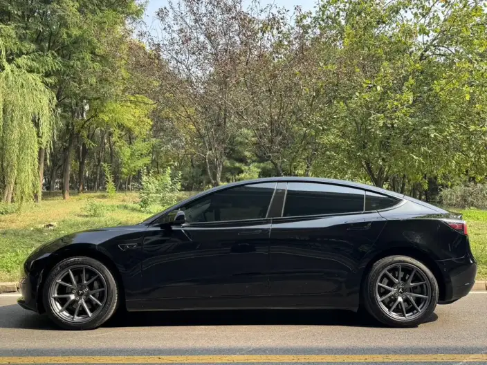 Model 3 2022 Model Rear-wheel drive version